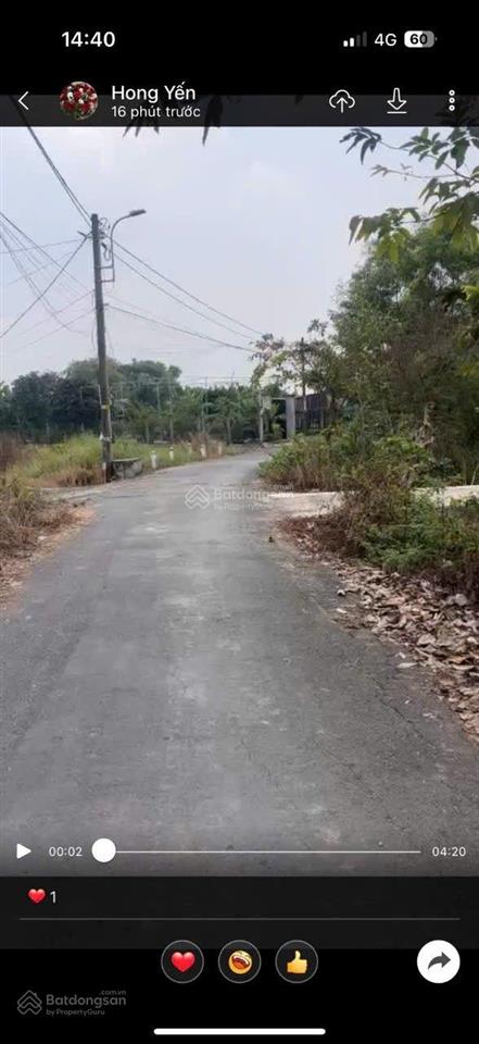 Bán căn nhà vườn 1000m hưng long, bình chánh