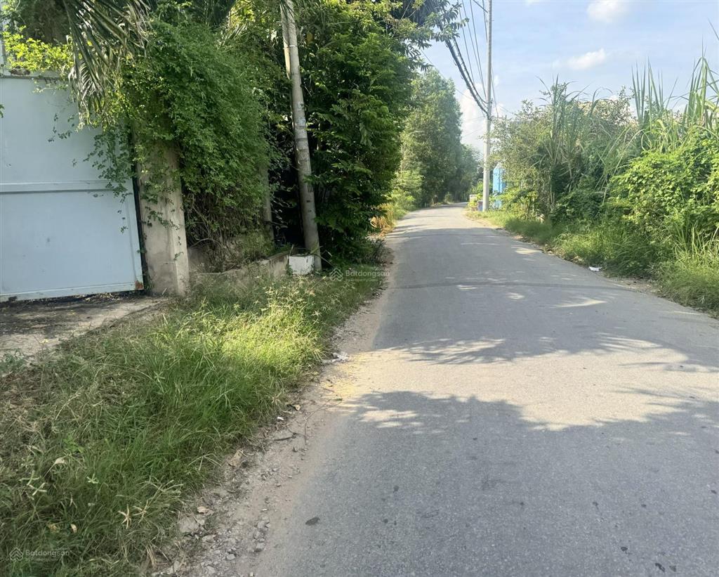 Bán lô đất thổ cư giá rẻ quý đức 169m bình chánh