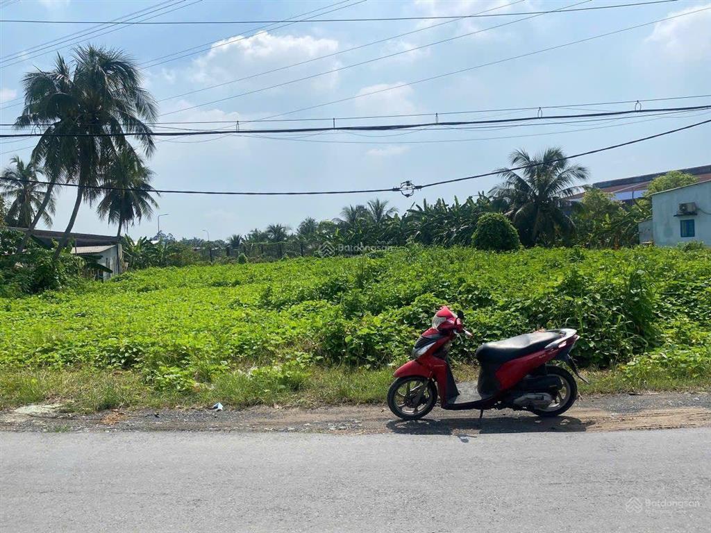 Bán lô đất giá rẻ tân nhựt bình chánh 2267m2