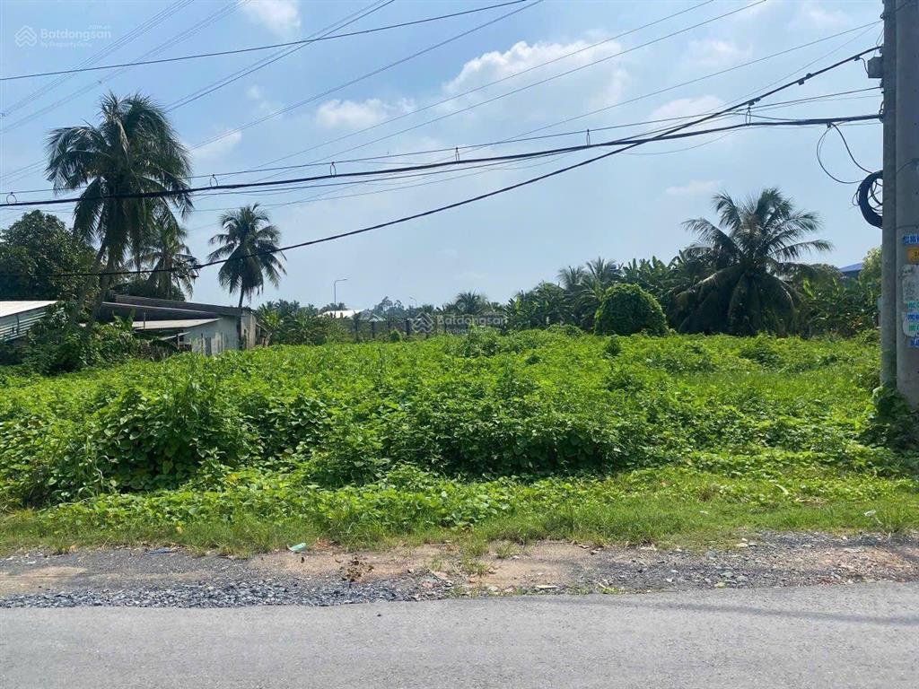 Bán lô đất giá rẻ tân nhựt bình chánh 2267m2
