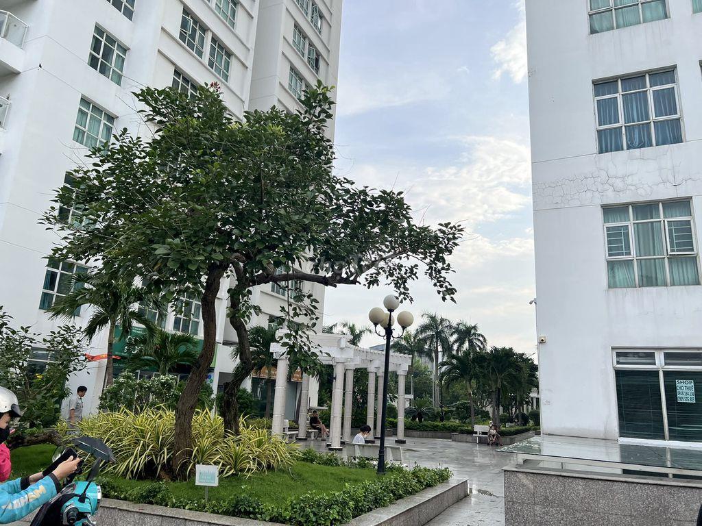 Cho thuê shophouse Hoàng Anh Thanh Bình giá 26 T/tháng