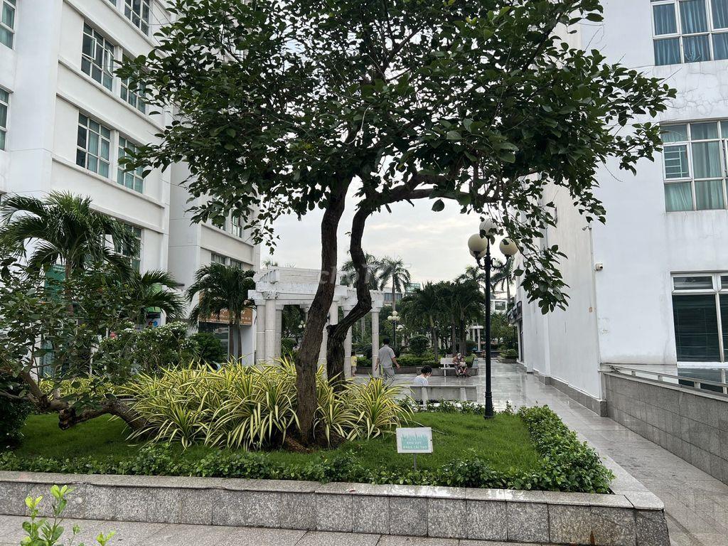 Cho thuê shophouse Hoàng Anh Thanh Bình giá 26 T/tháng
