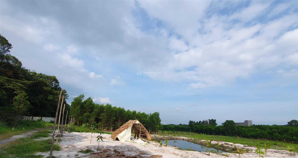 Lô đất view rừng nguyên sinh  biển hồ cốc  hồ tràm  gần cao tốc hồ tràm  long thành