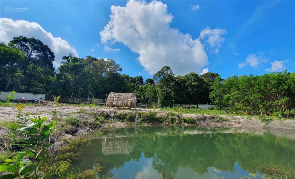 Lô đất view rừng nguyên sinh  biển hồ cốc  hồ tràm  gần cao tốc hồ tràm  long thành