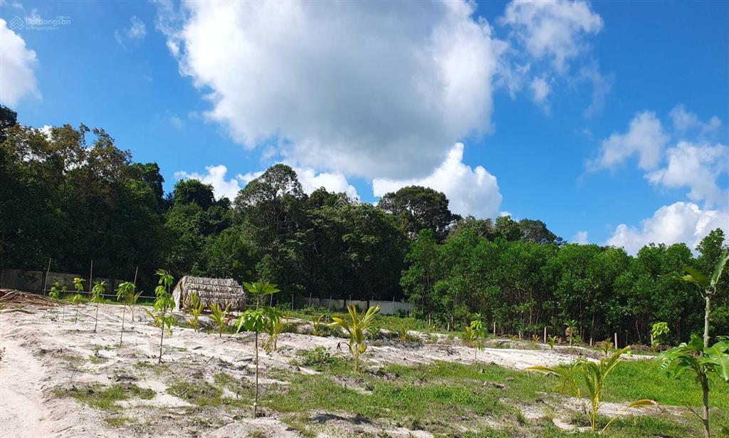 Lô đất view rừng nguyên sinh  biển hồ cốc  hồ tràm  gần cao tốc hồ tràm  long thành