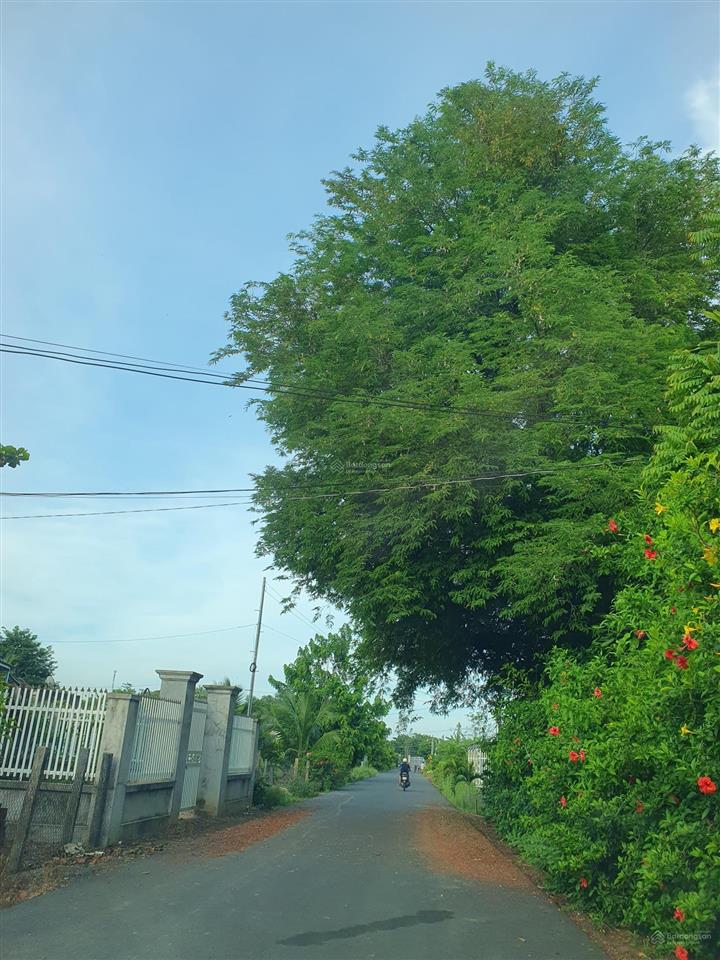 Bán lô đất liền kề view rừng bình châu  biển hồ cốc, hồ tràm