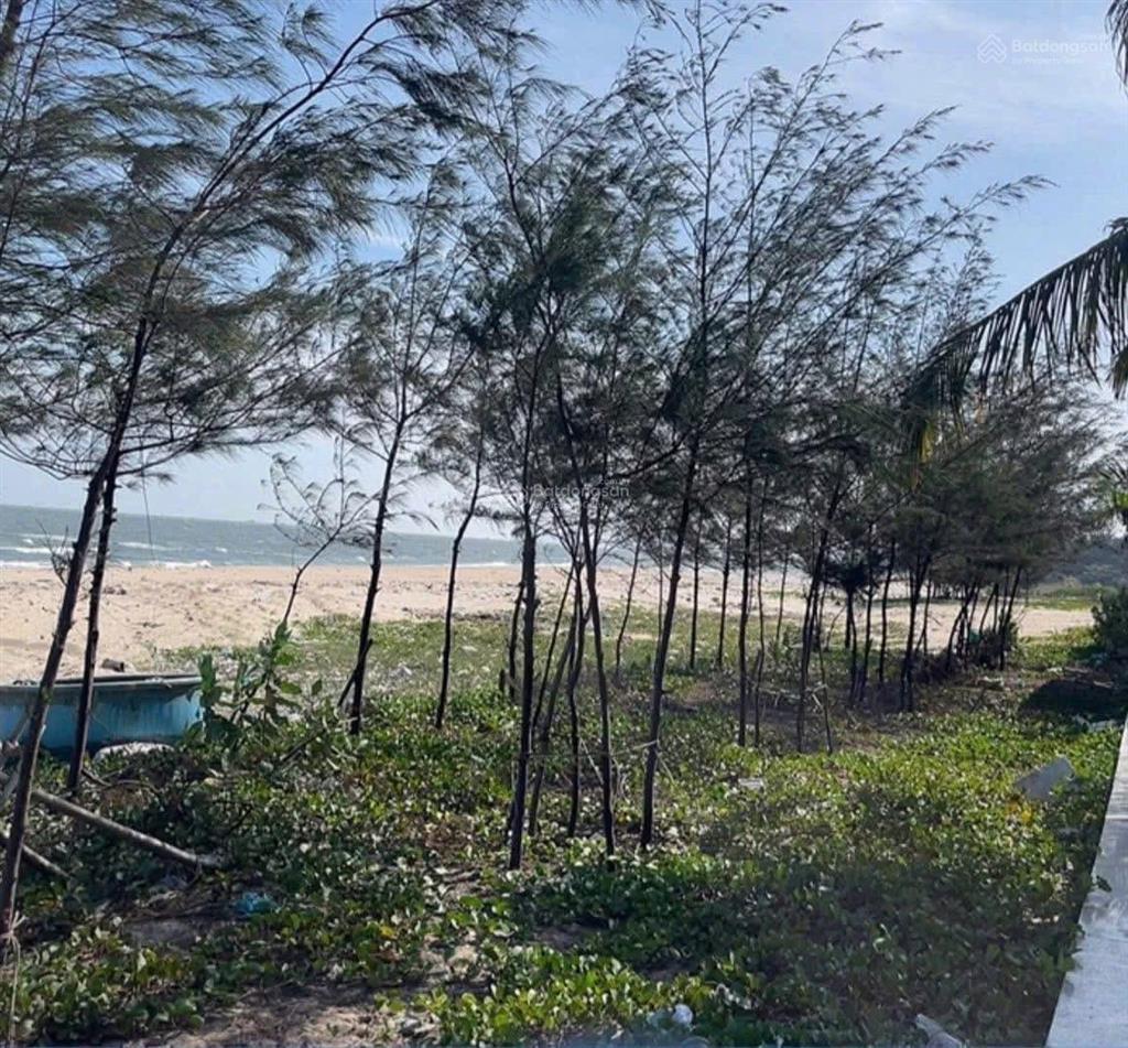 Bán đất xã bông trang 10mx30m có 100m2 thổ cư, đường nhựa khu dân cư, đất đang trồng thanh long