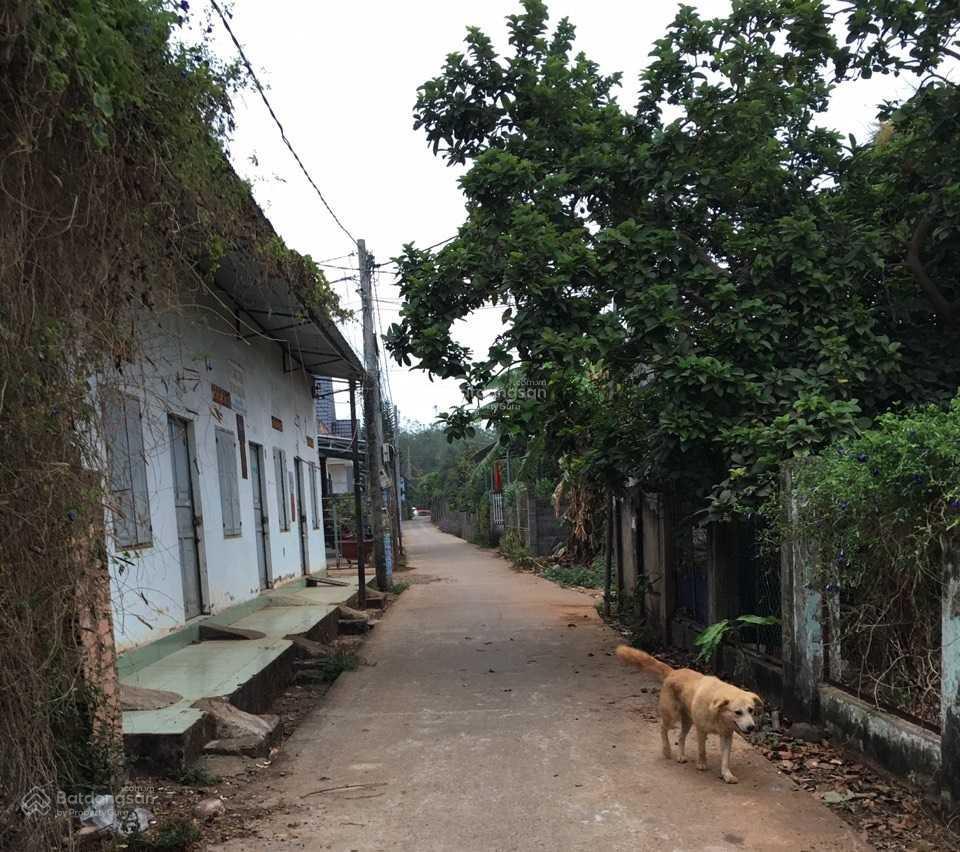 Bán đất mặt tiền ngay trung tâm thương mại kim long 2,3 tỷ