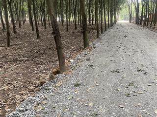 Cho thuê 4.000m đất hòa lợi, bến cát | mặt đường rộng quỹ đất lớn