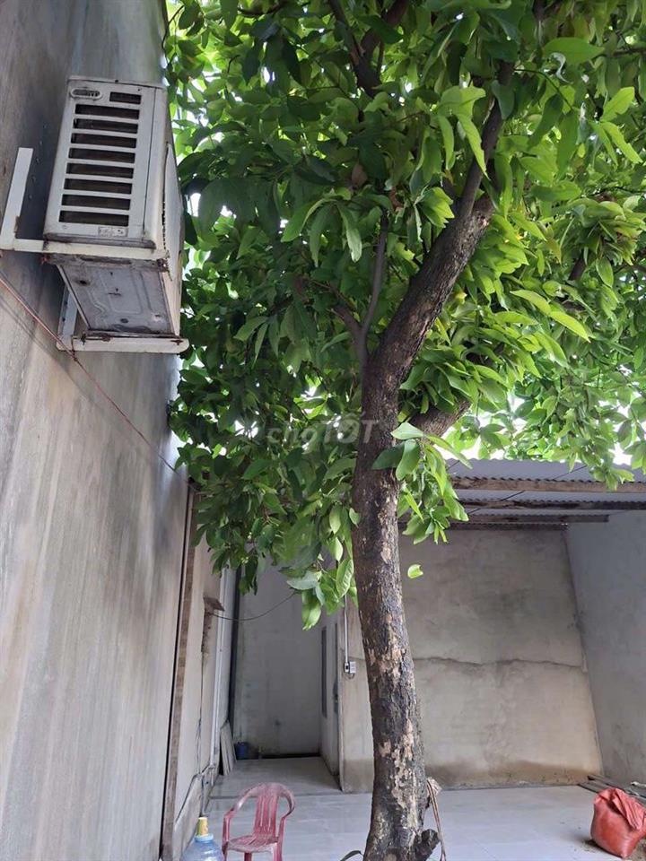 phòng trọ có sân rộng để xe cộ thoải mái 