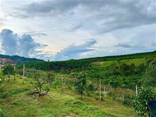 Bán đất 2 sào 2 vườn thuộc hẻm 89 phùng hưng  bảo lộc