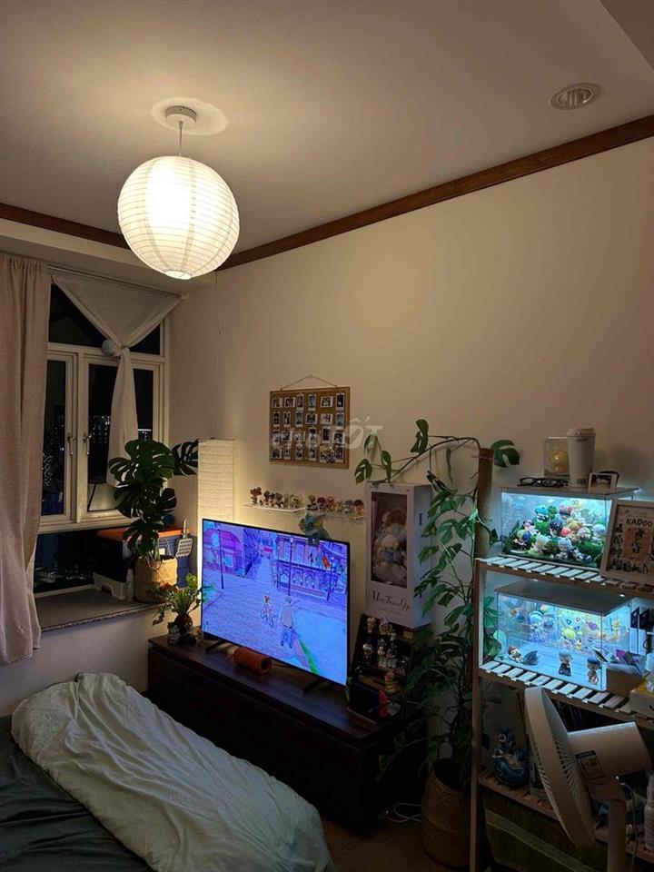 PHÒNG ĐẸP GIÁ TỐT - Chung cư Hoàng Anh An Tiến - View thoáng đẹp