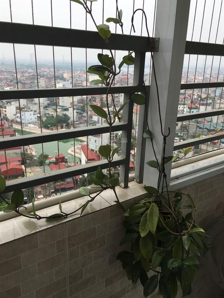 Bán căn góc 78m² chung cư nam đô complex tòa ct1a. 2 pn. 6 tỷ tl