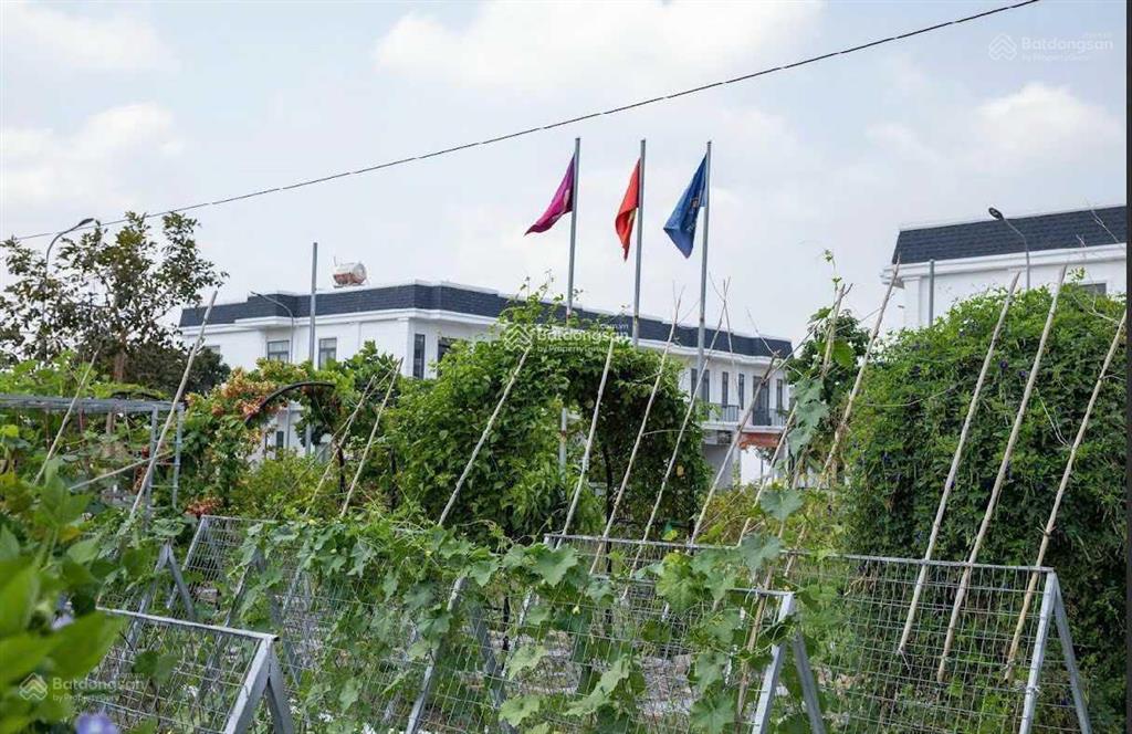 Hàng ngộp! khách kẹt tc gửi bán gấp. giá 1tỷ100/nền, dt=80m2, shr, cạnh quỹ đất vingroup đức hòa