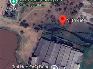 Bán đất trồng cây lâu năm 1130m2 tại kênh trung ương, vĩnh lộc a, bình chánh, 7.7 tỷ vnd