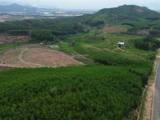 Cần bán lô đất 83.000m² (8,3 ha) vị trí siêu đẹp sổ đỏ làm bãi xe chứa hàng, farm du lịch giá tốt