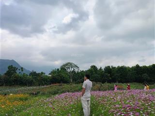 1 hecta xã hòa phú hòa vang đà nẵng tâm điểm đón sóng siêu dự án sun group & khu tmtd