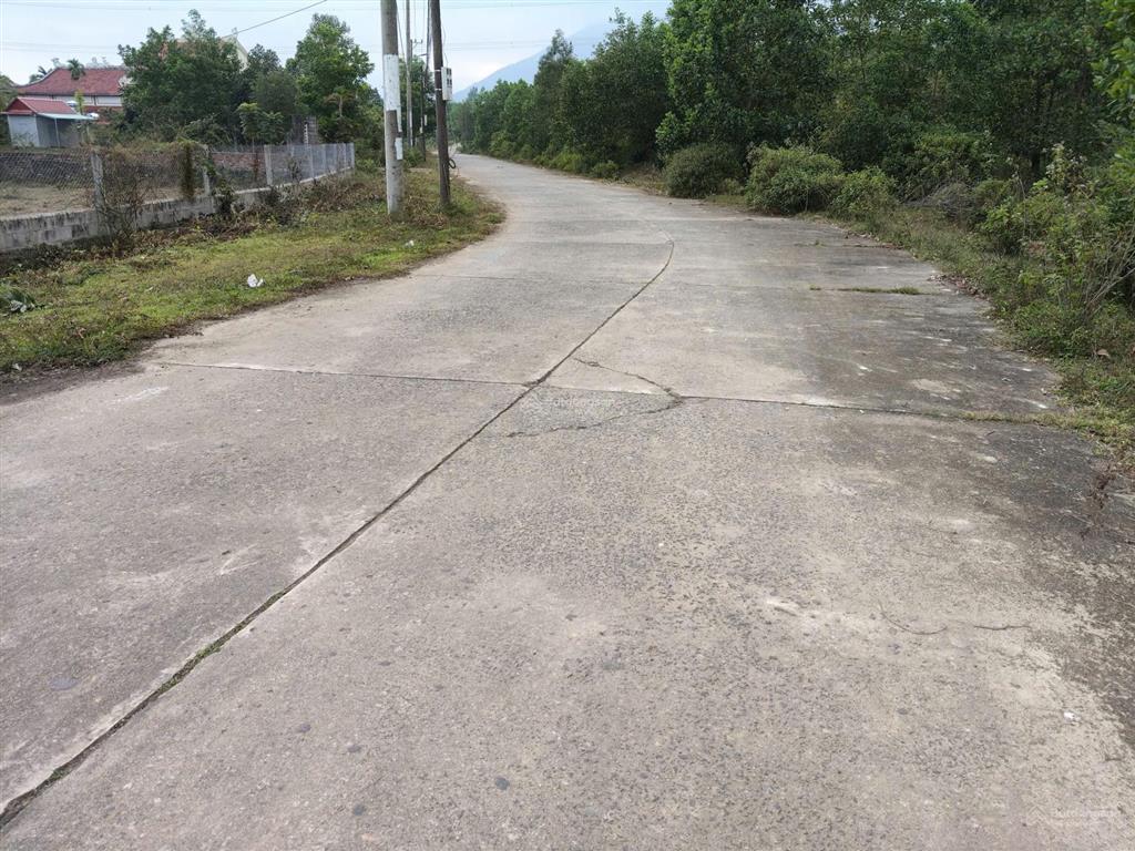 Bán đất có nhà vườn gần kdl bà nà diện tích 4.600m² có sẵn nhà vườn, nhiều cây ăn quả