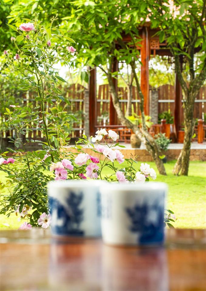 Bán đất có nhà vườn gần kdl bà nà diện tích 4.600m² có sẵn nhà vườn, nhiều cây ăn quả