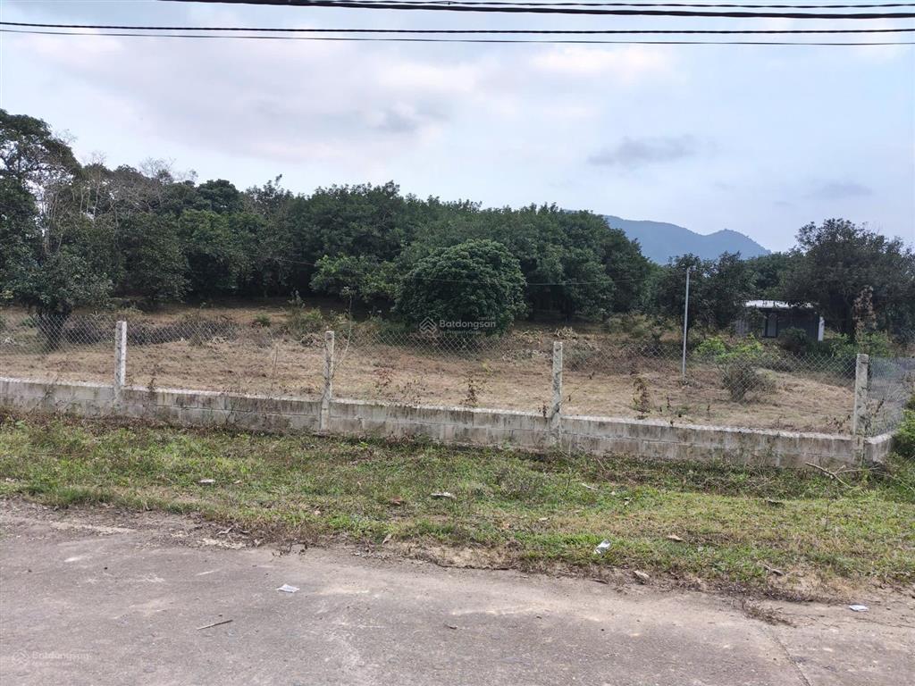 Bán đất có nhà vườn gần kdl bà nà diện tích 4.600m² có sẵn nhà vườn, nhiều cây ăn quả