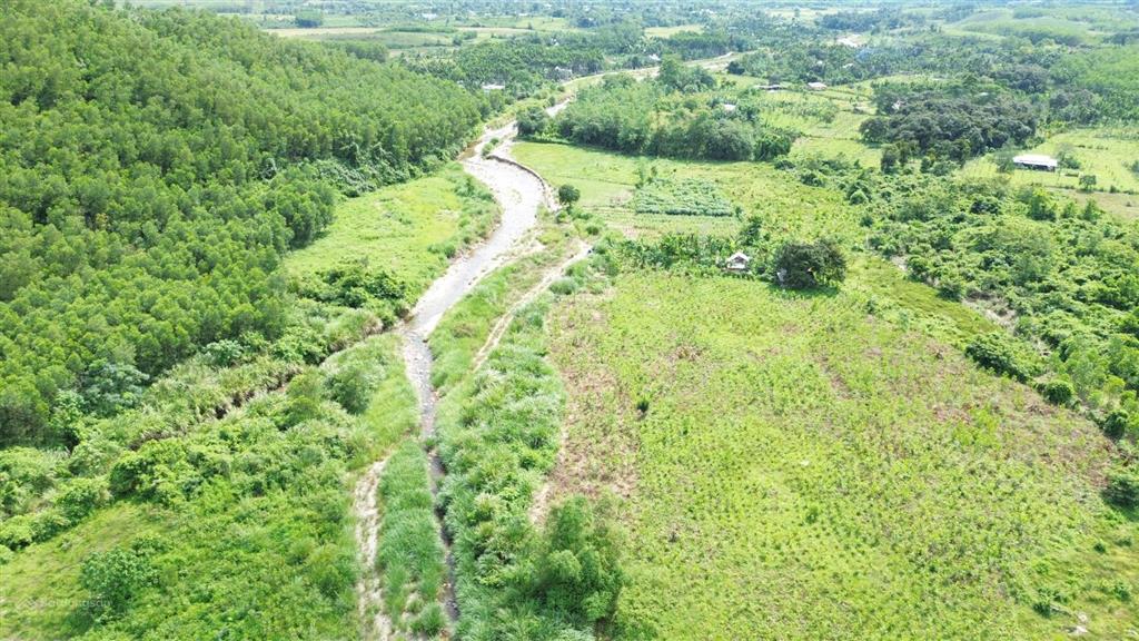Sốt lại lô đất vườn giá tốt nhất xã hòa ninh 400m2 có đất ở mà chỉ 1,7 tỷ làm nhà vườn rất đẹp