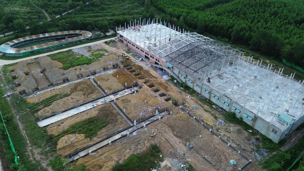 Bán đất vườn sổ đỏ cây lâu năm gần đường vành đai, hòa phú, hòa vang, đà nẵng, 5 tỷ, 10.000m2