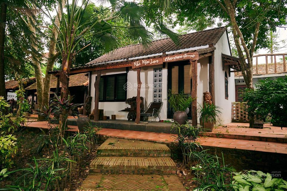 Bán đất tại gần đường đt 602, hòa ninh, hòa vang, 1,6 tỷ, 250m2 giá rẻ cho nhà đầu tư