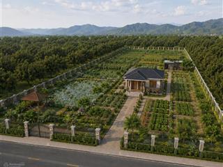 Bỏ phố về rừng  chỉ 1 triệu/m2 sở hữu ngay 4600m2 đất có nhà vườn cận kề bà nà hills
