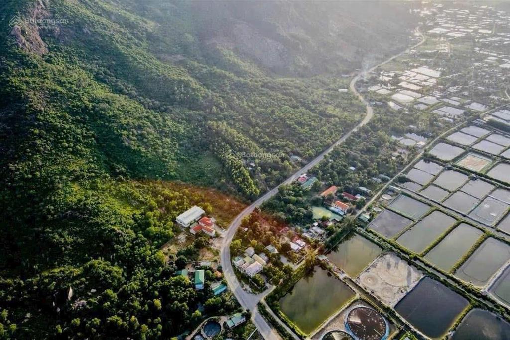 Lô vip 424m² thổ cư cạnh vin cam ranh mặt tiền 31,4m view vịnh cam ranh đường 30m giá 125tr/m ngang