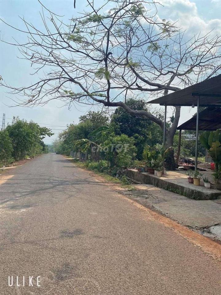 Bán hoặc Cho thuê