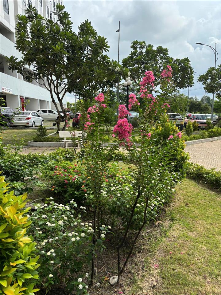 Chính chủ cho thuê căn 3 pn, 77m2, cc marina, ngay thủ đức, bệnh viện hạnh phúc  0903 609 ***