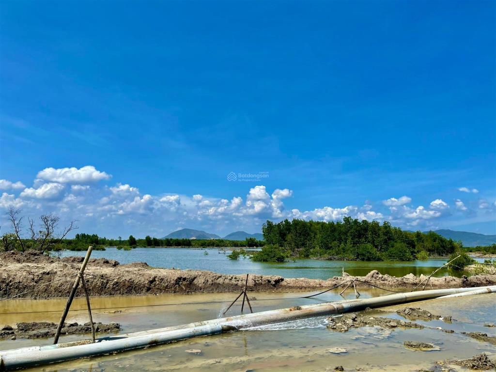 Chuyển nhượng quỹ đất dự án kho cảng cont quy mô lớn ngay cảng cái mép thị vải