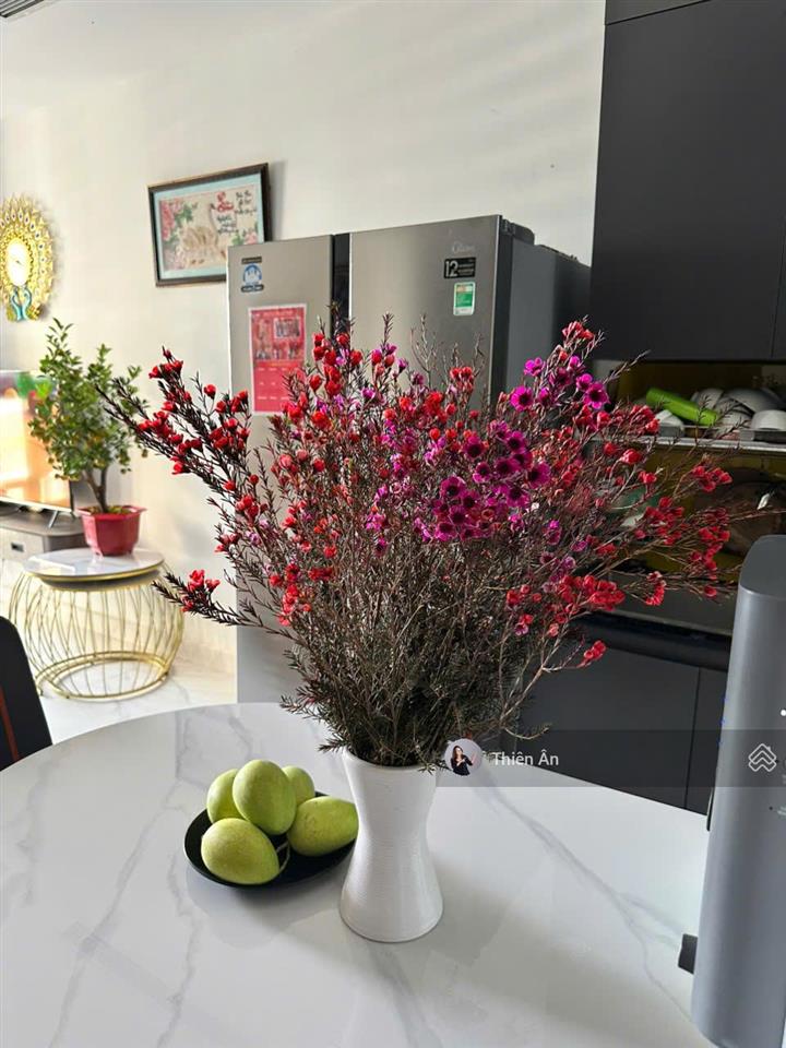 Bán gấp căn 1pn+1 khu be giá chỉ 3,2 tỷ view nội khu và view sông tặng full nội thất đã có sổ hồng
