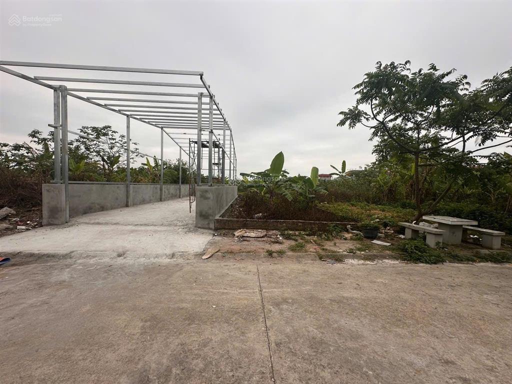 Chủ cần tiền bán gấp  80m2  đấu giá x6 cán khê  nguyên khê  đông anh  giá chỉ 89tr/m2
