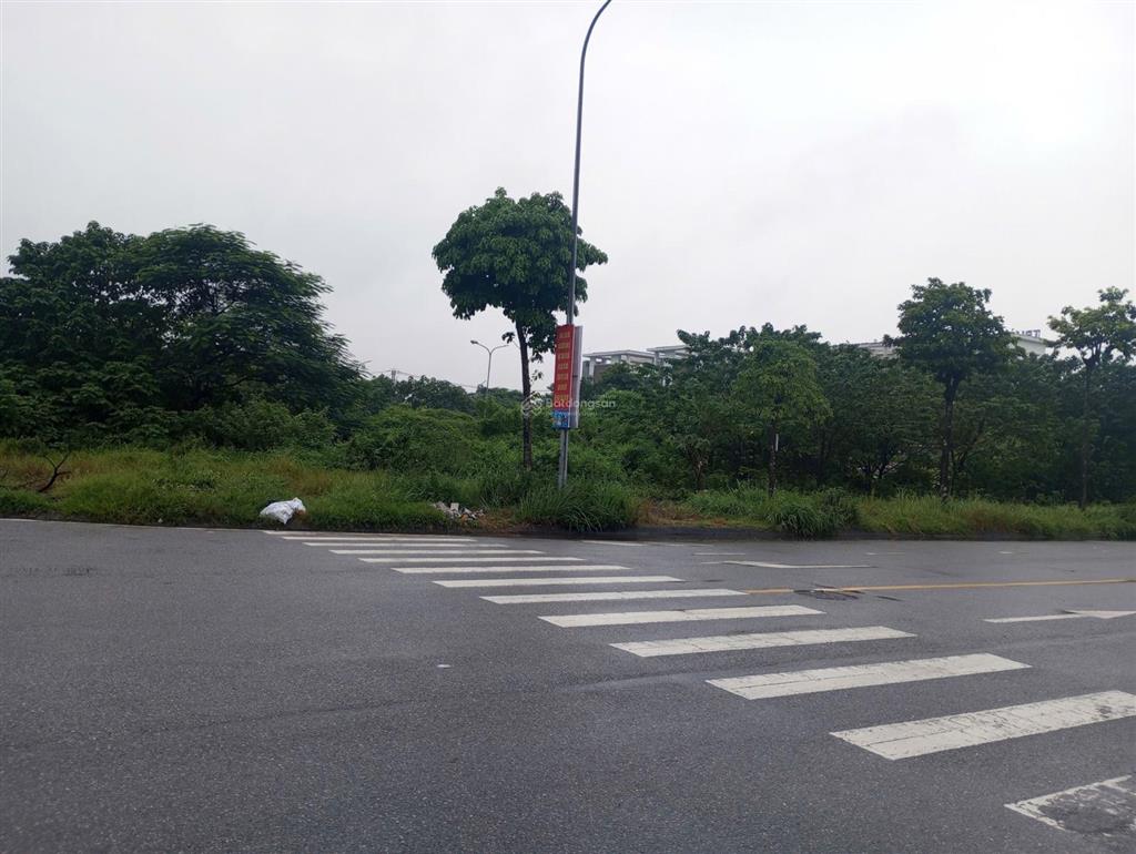 Bán lúa non tđc đông trù  80m2  sát trường ngô quyền  mt 5m đường ô tránh 7m  vỉa hè