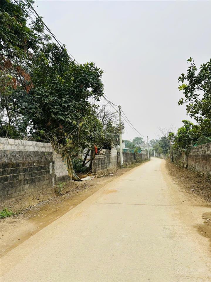 118 m thổ cư trục chính liên thôn kinh doanh, xuân mai, hà nội chỉ 1.9 tỷ