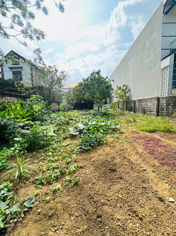    300m2 MẶT TIỀN 10m TIÊN TRƯỢNG XUÂN MAI HÀ NỘI 4 x THÔI   