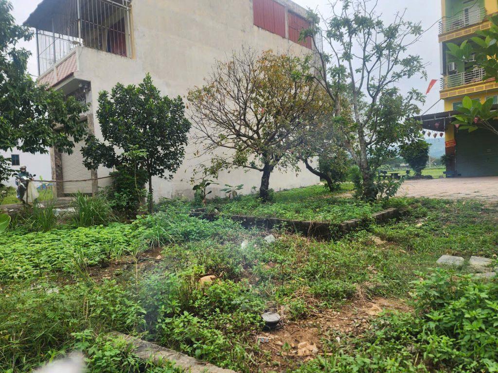 CẦN BÁN 75M ĐẤT ĐẤU GIÁ NGAY CỔNG UBND, CHỢ CÁ, XUÂN MAI HÀ NỘI