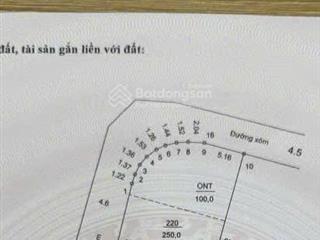 250m mặt tiền 21m lô góc trục chính thôn đông nam xuân mai hà nội