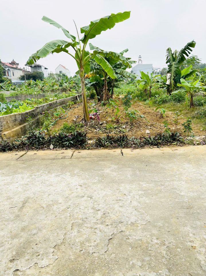 80m ĐẤT TÁI ĐỊNH CƯ CẠNH TRƯỜNG SỸ QUAN ĐẶC CÔNG 1 X TỶ CHƯƠNG MỸ HÀ NỘI