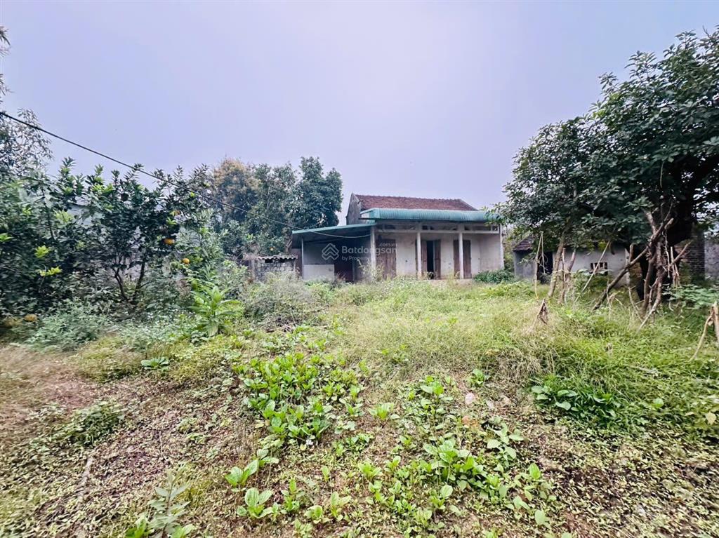455m2/300m2 thổ cư, mặt tiền 21m việt an xuân mai hà nội 3.2 tỷ