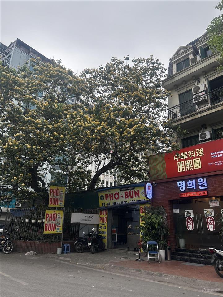 Siêu phẩm dòng tiền đình thôn  ô tô tránh  1.5 tỷ/năm
