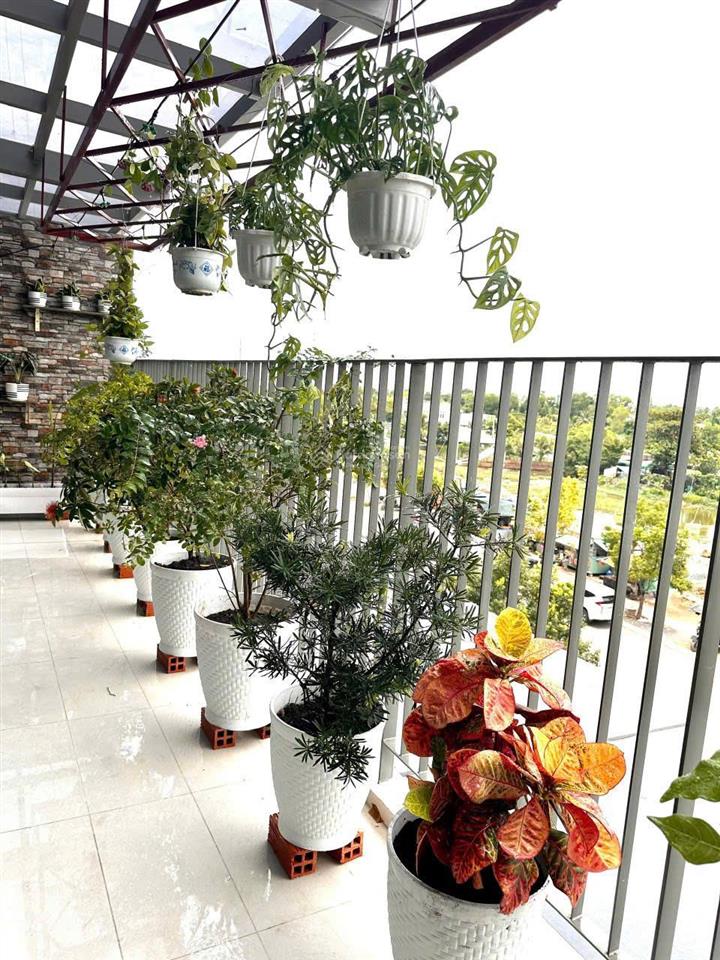 Giỏ hàng westgate các loại ( 59m22.7 tỷ, 69m23.150 tỷ, 75m23,5 tỷ, 85m23,580 tỷ, 113m24,5 tỷ )