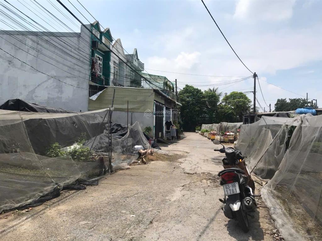 Đất đẹp ngang 8m bề thế  thông số lý tưởng  vị trí đẹp bùi thị lùng  shr thổ cư 100%