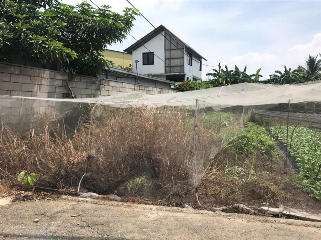 Đất đẹp ngang 8m bề thế  thông số lý tưởng  vị trí đẹp bùi thị lùng  shr thổ cư 100%