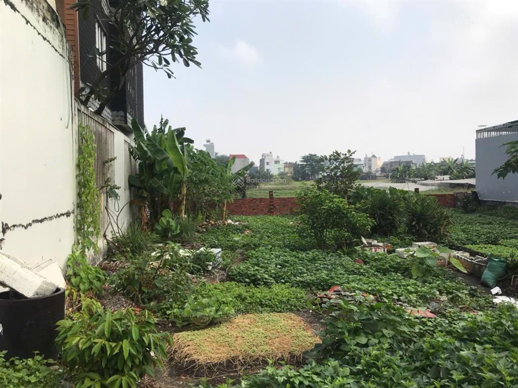 Đất đẹp  diện tích lý tưởng  ngang 7,3m bề thế  vị trí vàng  hxt thông tô ký  shr full thổ