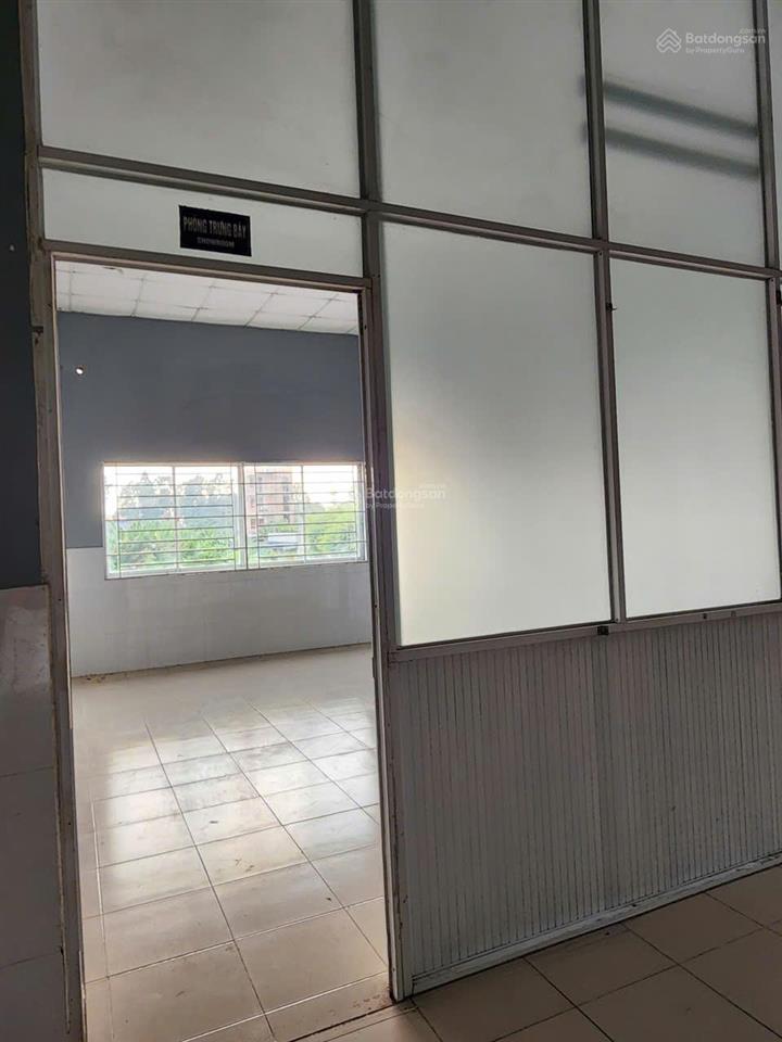 Nhà mặt tiền tân hiệp  thông số lý tưởng 20x50m vuông vức  vị trí đẹp  shr thổ cư