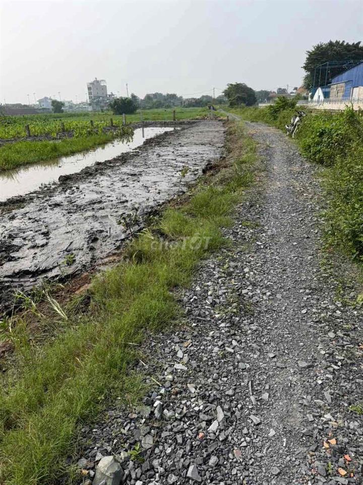 Đất làm vườn 1100m2 mặt tiền kênh gần cầu bến Nọc phù hợp làm nhà vườn