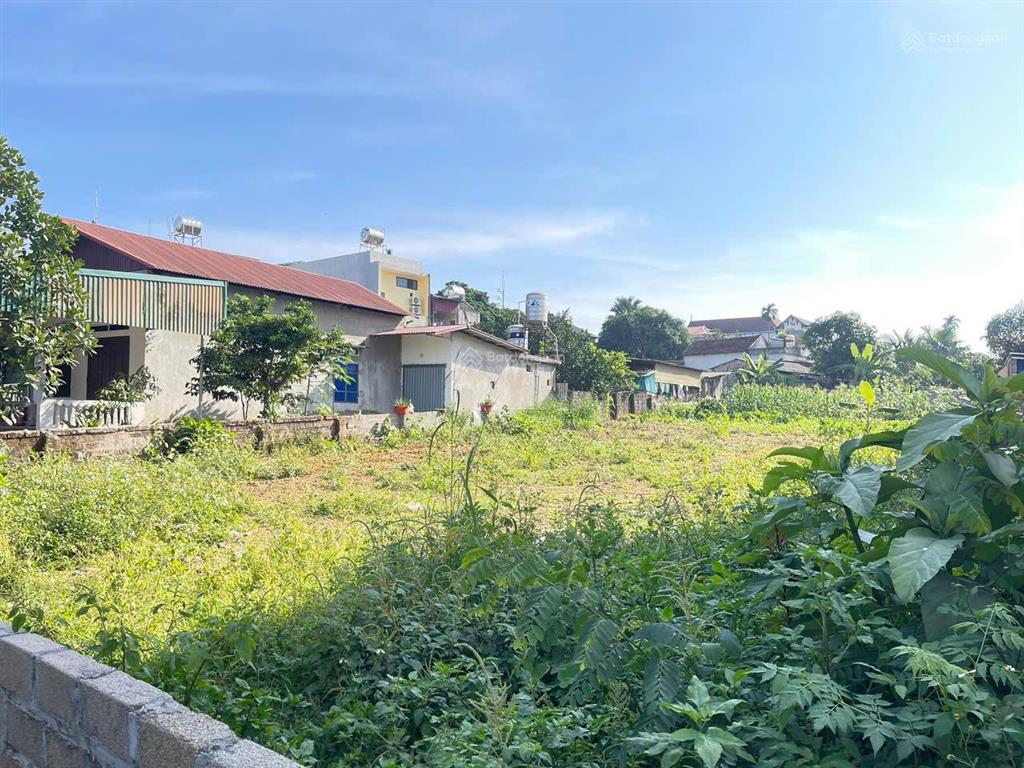 Bán đất diện tích lớn 875,5m² tại ba trại, xã ba vì, hà nội. có 200m thổ cư