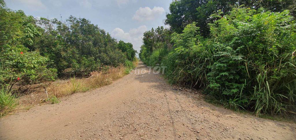 CHÍNH CHỦ CẦN BÁN 1600M2 ĐẤT 29X65M